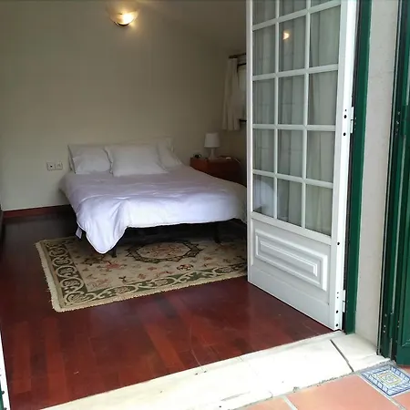 Louis Terrace House